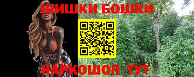шишки Ставрополь