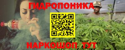 шишки Ставрополь