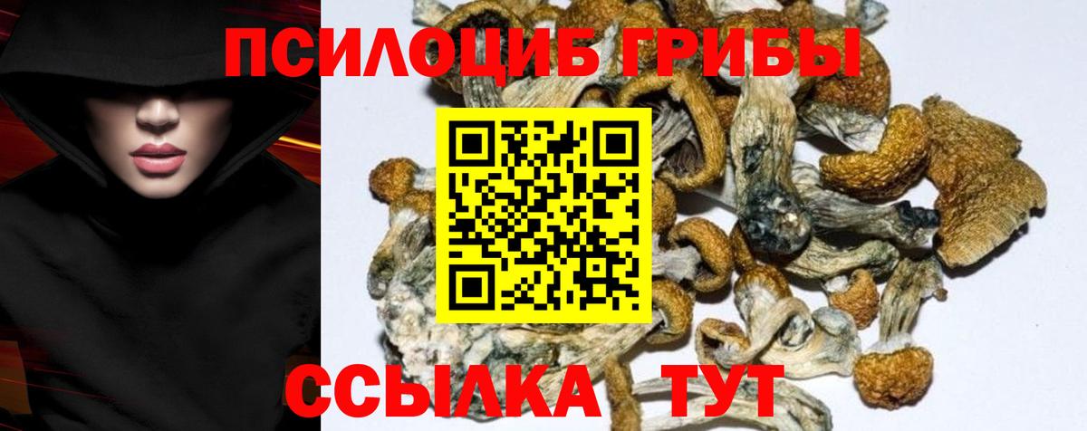 Россошь  Псилоцибиновые грибы прущие грибы  Вход с VPN 