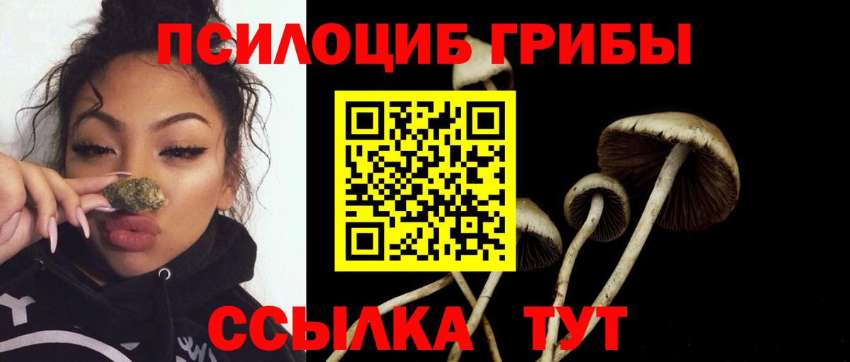 Галлюциногенные грибы GOLDEN TEACHER Россошь